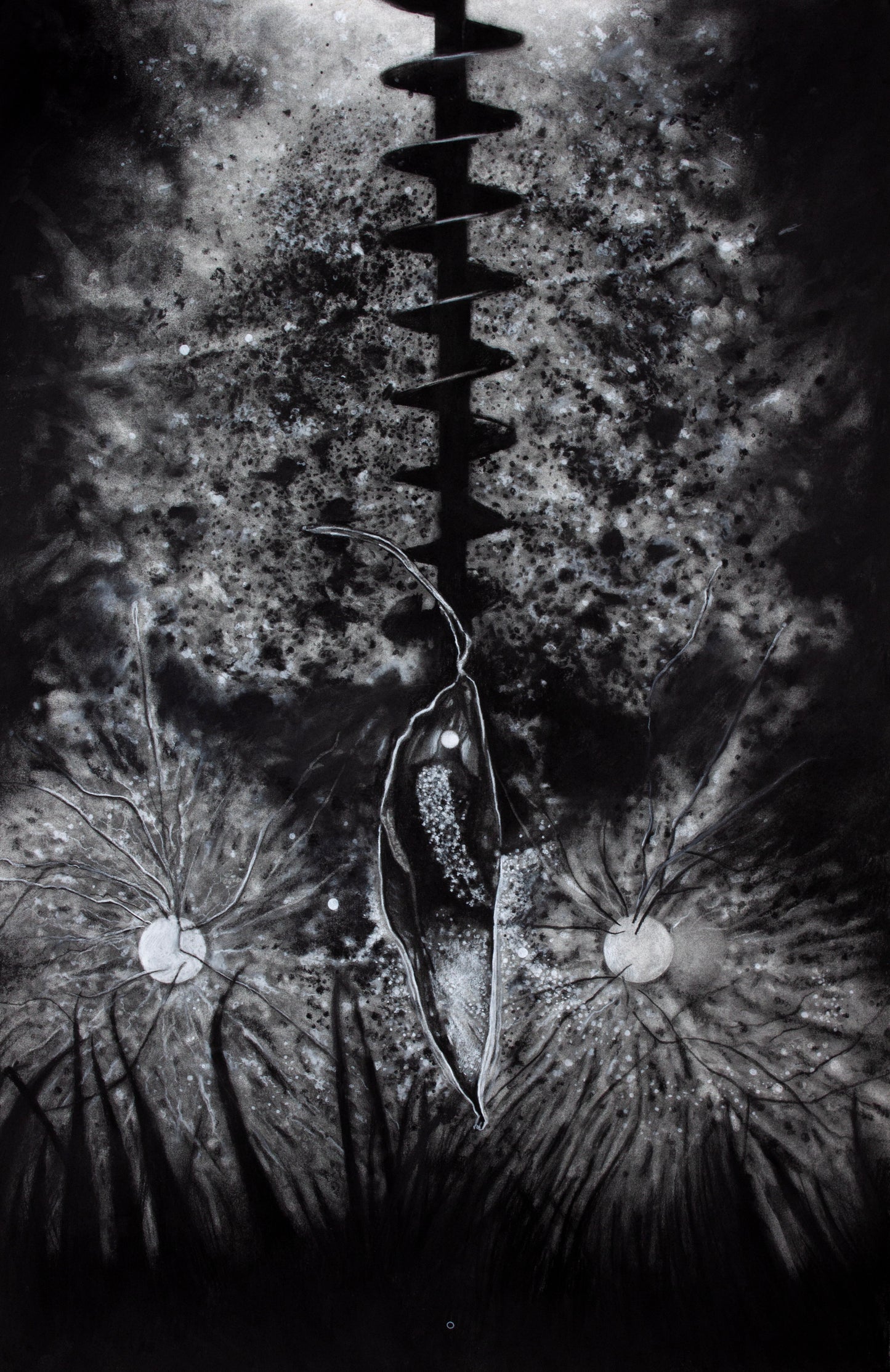 RANDY SIMMONS Flicker, 2025