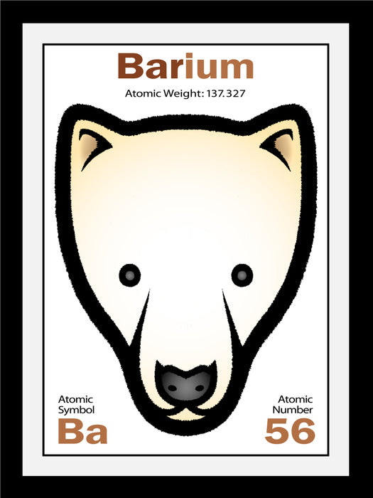 ZAK ZYCH'S Barium