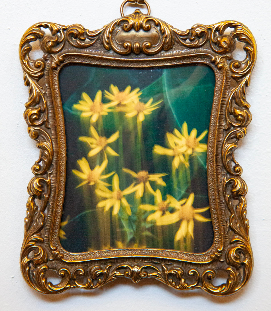 DANIELLE BECK Gold In The Green