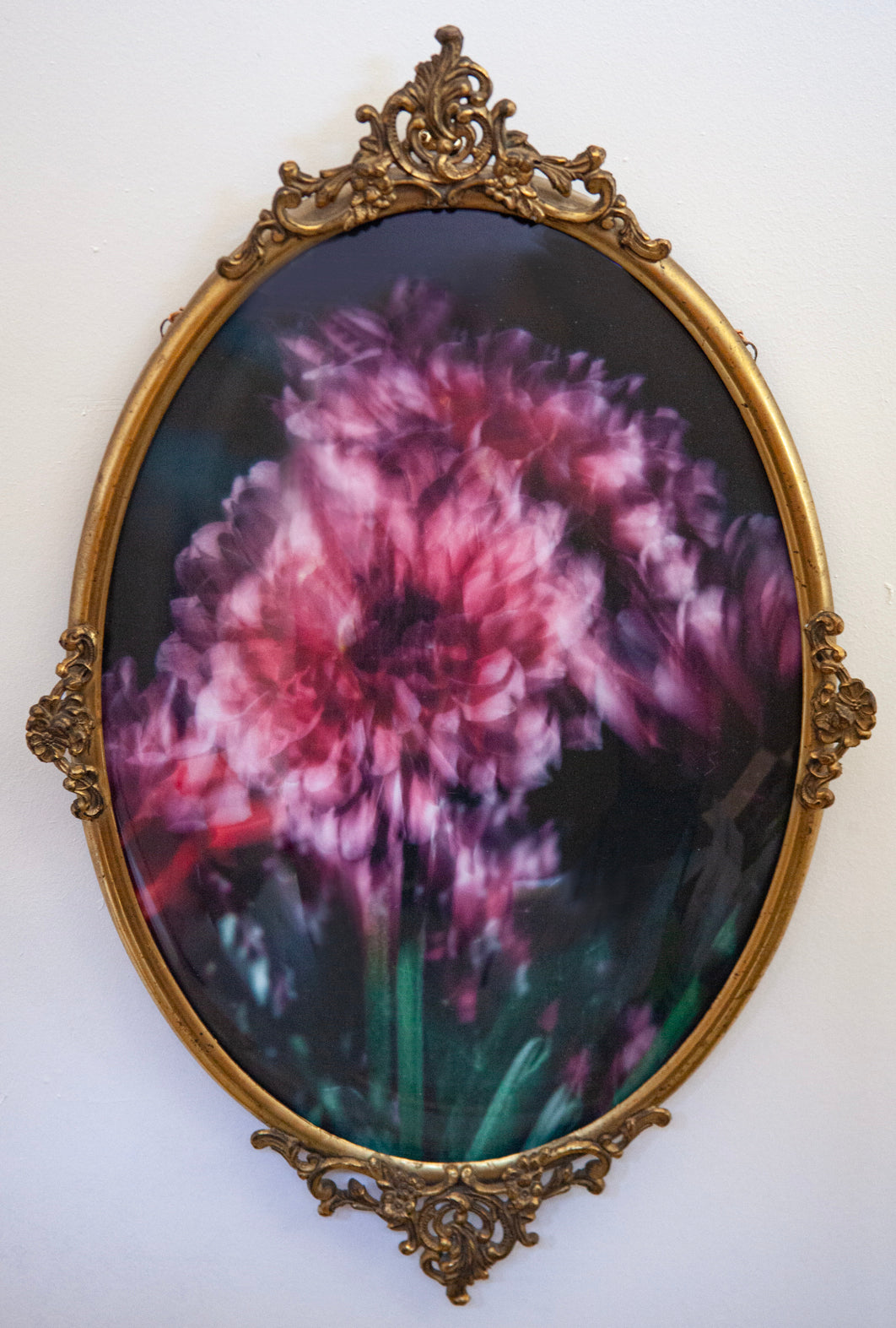 DANIELLE BECK Floral Vision IV