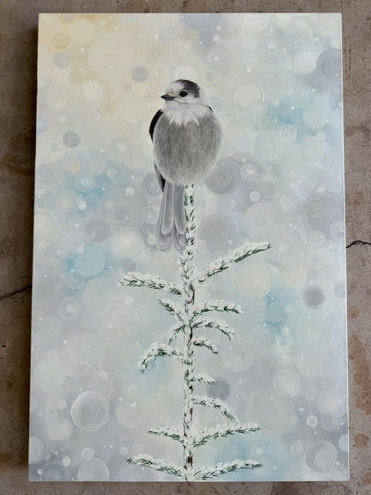 ANGIE HERNANDEZ LAVIN'S Jay's First Frost