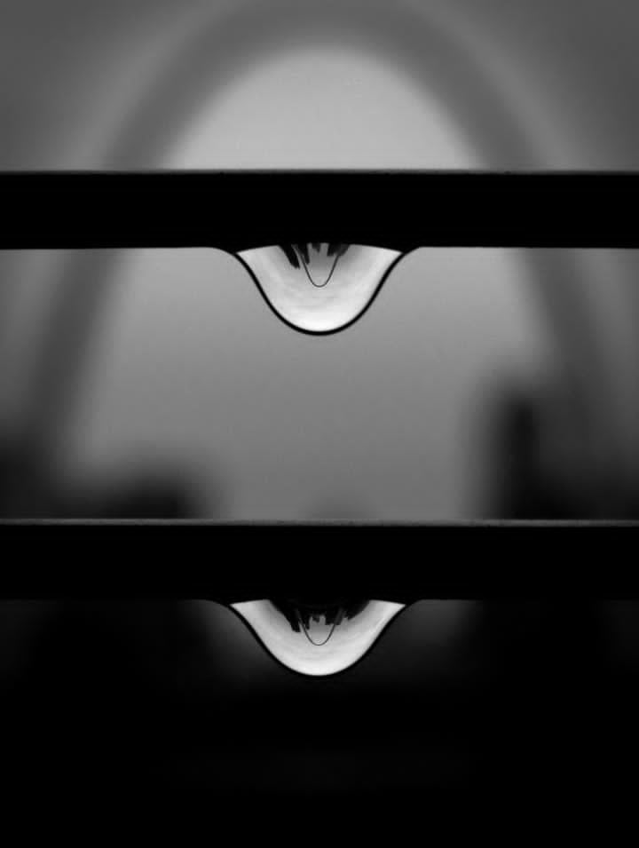 ADAM WAYNE'S Two Beloved