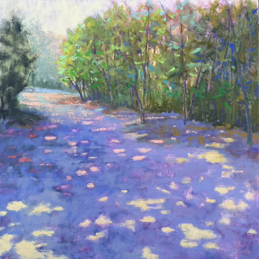 DAWN MILLER'S Among The Shadows
