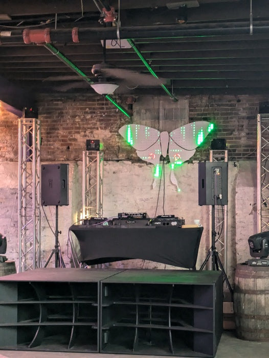 ANN JOHNSON'S Luna Moth