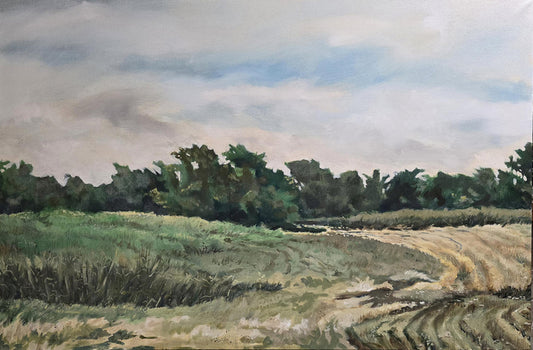 CHUCK GROTH'S Illinois Field (Waterloo 25)