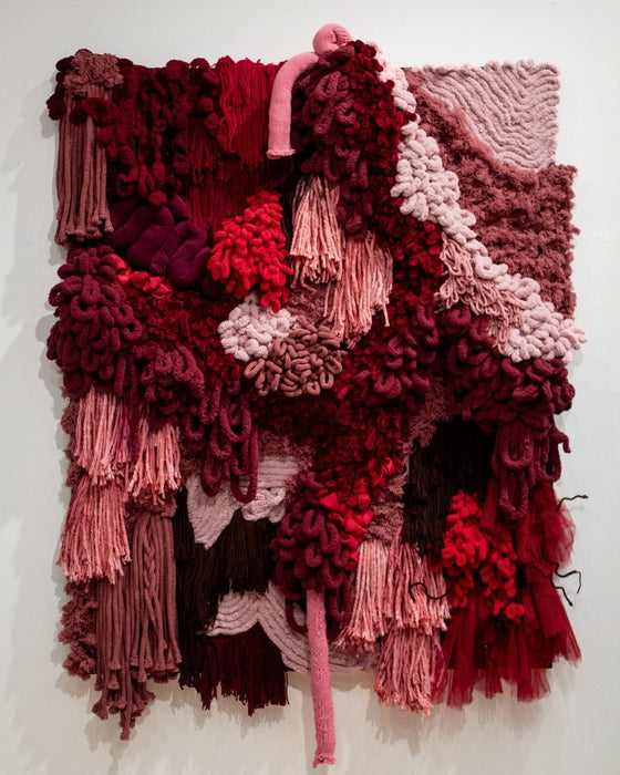 HOLLY HENNESSEY'S Visceral Feelings